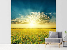 Load image into Gallery viewer, Photo Wallpaper Sunflowers In The Evening Sun