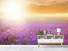 Load image into Gallery viewer, Photo Wallpaper Sunset In Lavender Field