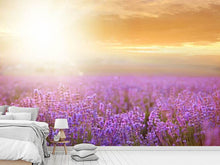 Load image into Gallery viewer, Photo Wallpaper Sunset In Lavender Field