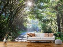 Load image into Gallery viewer, Photo Wallpaper Sunny Forest Path