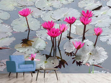 Load image into Gallery viewer, Photo Wallpaper Jump In The Lily Pond