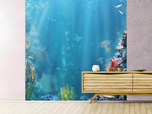 Load image into Gallery viewer, Photo Wallpaper Underwater
