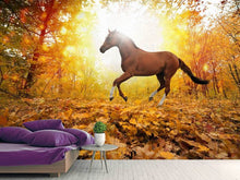 Load image into Gallery viewer, Photo Wallpaper Whole Blood In Autumn Forest