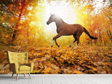 Load image into Gallery viewer, Photo Wallpaper Whole Blood In Autumn Forest