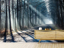 Load image into Gallery viewer, Photo Wallpaper Forest In The Light Beam