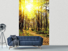 Load image into Gallery viewer, Photo Wallpaper Woodland Walk In The Autumn Sun