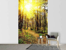 Load image into Gallery viewer, Photo Wallpaper Woodland Walk In The Autumn Sun
