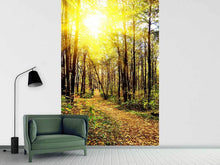 Load image into Gallery viewer, Photo Wallpaper Woodland Walk In The Autumn Sun