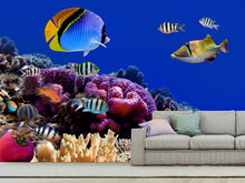 Load image into Gallery viewer, Photo Wallpaper World Of Fish