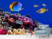 Load image into Gallery viewer, Photo Wallpaper World Of Fish