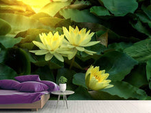 Load image into Gallery viewer, Photo Wallpaper Wild Lotus