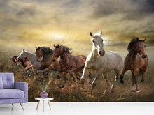 Load image into Gallery viewer, Photo Wallpaper Wild Wild Horses