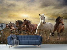 Load image into Gallery viewer, Photo Wallpaper Wild Wild Horses