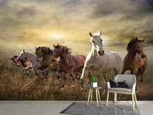 Load image into Gallery viewer, Photo Wallpaper Wild Wild Horses
