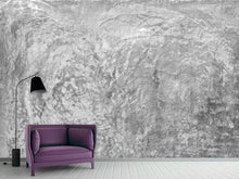 Load image into Gallery viewer, Photo Wallpaper Wipe Technique In Gray