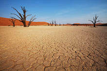 Load image into Gallery viewer, Photo Wallpaper Desert