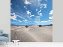 Load image into Gallery viewer, Photo Wallpaper Desert Landscape