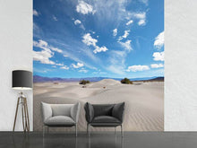 Load image into Gallery viewer, Photo Wallpaper Desert Landscape