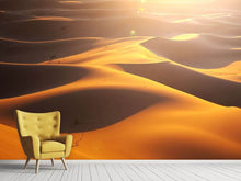 Load image into Gallery viewer, Photo Wallpaper Wilderness Journey