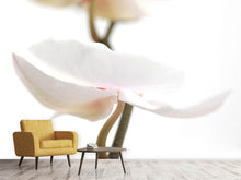 Load image into Gallery viewer, Photo Wallpaper XXL Orchid Flower