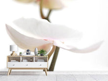 Load image into Gallery viewer, Photo Wallpaper XXL Orchid Flower