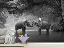 Load image into Gallery viewer, Photo Wallpaper Two Elephants