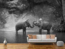Load image into Gallery viewer, Photo Wallpaper Two Elephants