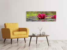 Load image into Gallery viewer, Panoramic Canvas Print Red water lily duo