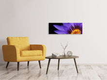 Load image into Gallery viewer, Panoramic Canvas Print XL water lily in purple