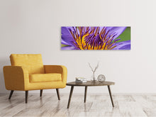 Load image into Gallery viewer, Panoramic Canvas Print XXL water lily in purple