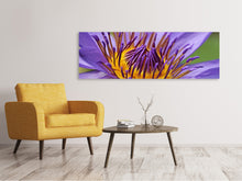 Load image into Gallery viewer, Panoramic Canvas Print XXL water lily in purple