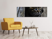 Load image into Gallery viewer, Panoramic Canvas Print Cats child
