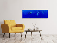 Load image into Gallery viewer, Panoramic Canvas Print In the shark tank