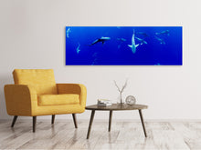 Load image into Gallery viewer, Panoramic Canvas Print In the shark tank