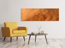 Load image into Gallery viewer, Panoramic Canvas Print tree rings