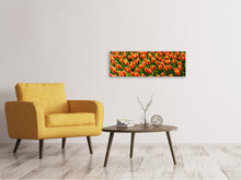 Load image into Gallery viewer, Panoramic Canvas Print Tulip field in orange