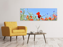 Load image into Gallery viewer, Panoramic Canvas Print The poppy in the flower meadow