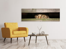 Load image into Gallery viewer, Panoramic Canvas Print Cat in hiding