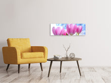 Load image into Gallery viewer, Panoramic Canvas Print Tulips in nature
