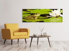 Load image into Gallery viewer, Panoramic Canvas Print The frog and the water lily