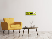 Load image into Gallery viewer, Panoramic Canvas Print The frog and the water lily