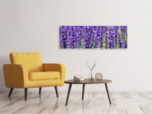 Load image into Gallery viewer, Panoramic Canvas Print XL lavender