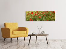Load image into Gallery viewer, Panoramic Canvas Print The poppy in the wind