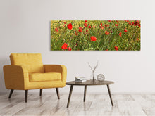 Load image into Gallery viewer, Panoramic Canvas Print The poppy in the wind