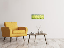 Load image into Gallery viewer, Panoramic Canvas Print In the meadow