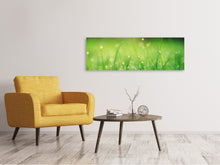 Load image into Gallery viewer, Panoramic Canvas Print Meadow with morning dew