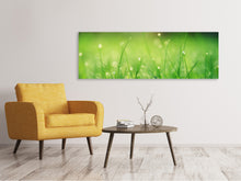 Load image into Gallery viewer, Panoramic Canvas Print Meadow with morning dew