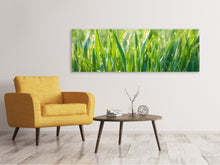 Load image into Gallery viewer, Panoramic Canvas Print Grass with morning dew XL