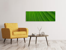 Load image into Gallery viewer, Panoramic Canvas Print Palm stripe 1