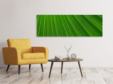 Load image into Gallery viewer, Panoramic Canvas Print Palm stripe 1